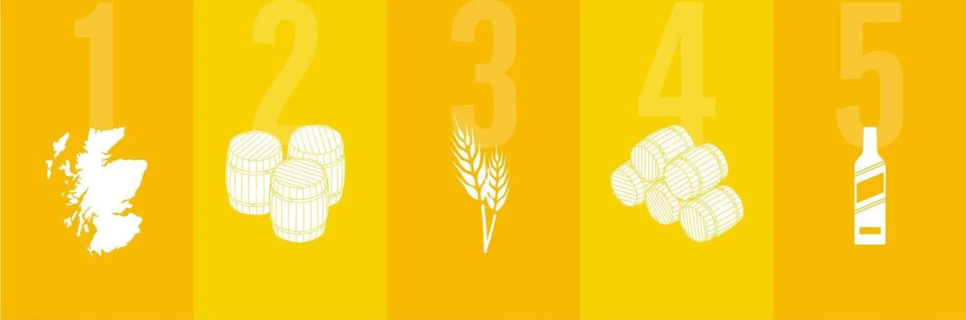 Ilustração de itens relacionados a whisky e whiskey