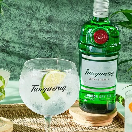 Um Gin Spritz em uma taça ao lado de uma garrafa de Tanqueray London Dry Gin