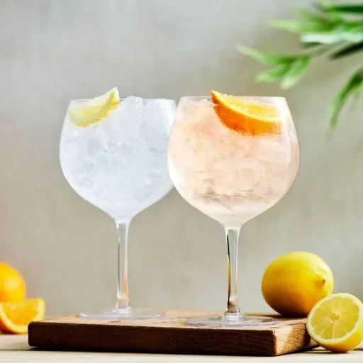 Dois sabores de Gin e Tônica com guarnições de limão e laranja 